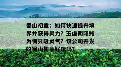 蜀山初章：如何快速提升境界并获得灵力？玉虚阴阳瓶为何只吸灵气？该公司开发的蜀山初章好玩吗？