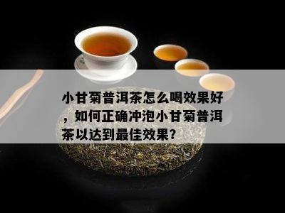 小甘菊普洱茶怎么喝效果好，如何正确冲泡小甘菊普洱茶以达到更佳效果？