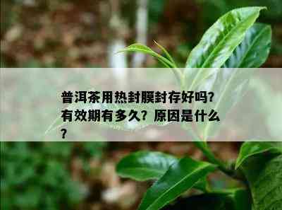 普洱茶用热封膜封存好吗？有效期有多久？原因是什么？