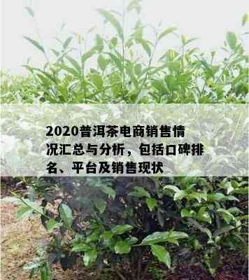 2020普洱茶电商销售情况汇总与分析，包括口碑排名、平台及销售现状