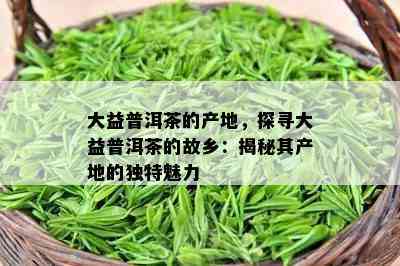 大益普洱茶的产地，探寻大益普洱茶的故乡：揭秘其产地的独特魅力