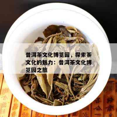 普洱茶文化博览园，探索茶文化的魅力：普洱茶文化博览园之旅