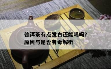 普洱茶有点发白还能喝吗？原因与是否有解析