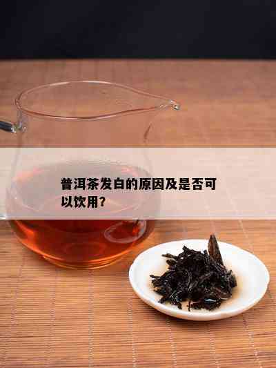 普洱茶发白的原因及是否可以饮用？