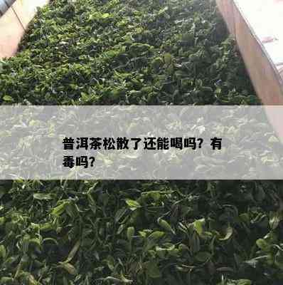 普洱茶松散了还能喝吗？有吗？