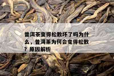 普洱茶变得松散坏了吗为什么，普洱茶为何会变得松散？原因解析