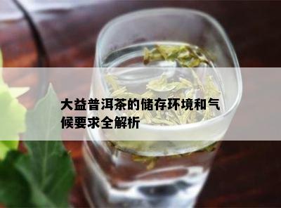 大益普洱茶的储存环境和气候要求全解析