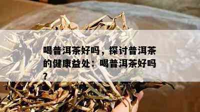 喝普洱茶好吗，探讨普洱茶的健康益处：喝普洱茶好吗？