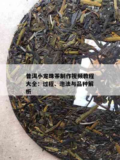 普洱小龙珠茶制作视频教程大全：过程、泡法与品种解析