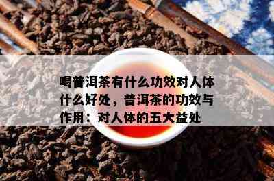 喝普洱茶有什么功效对人体什么好处，普洱茶的功效与作用：对人体的五大益处