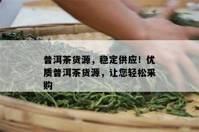 普洱茶货源，稳定供应！优质普洱茶货源，让您轻松采购