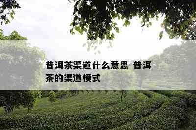 普洱茶渠道什么意思-普洱茶的渠道模式