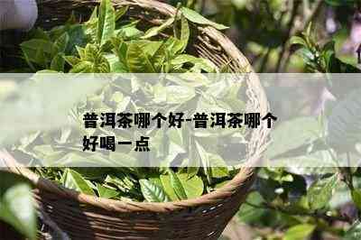 普洱茶哪个好-普洱茶哪个好喝一点