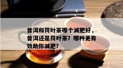 普洱和荷叶茶哪个减肥好，普洱还是荷叶茶？哪种更有效助你减肥？