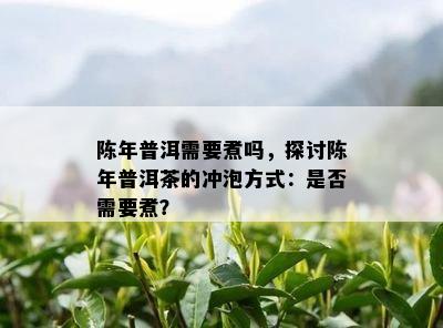 陈年普洱需要煮吗，探讨陈年普洱茶的冲泡方式：是否需要煮？