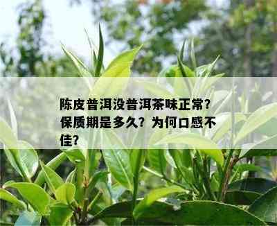 陈皮普洱没普洱茶味正常？保质期是多久？为何口感不佳？