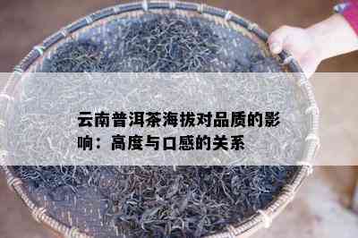 云南普洱茶海拔对品质的影响：高度与口感的关系