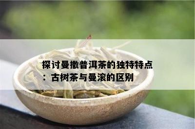 探讨曼撒普洱茶的独特特点：古树茶与曼滚的区别