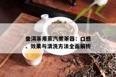 普洱茶用蒸汽煮茶器：口感、效果与清洗方法全面解析