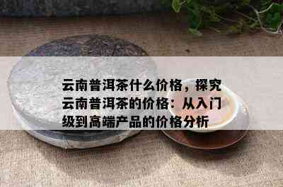 云南普洱茶什么价格，探究云南普洱茶的价格：从入门级到高端产品的价格分析