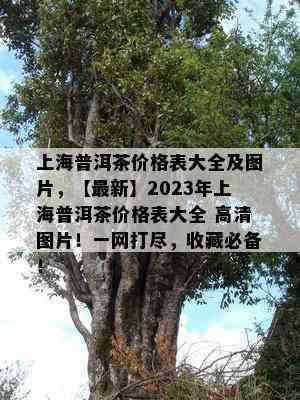 上海普洱茶价格表大全及图片，【最新】2023年上海普洱茶价格表大全 高清图片！一网打尽，收藏必备！