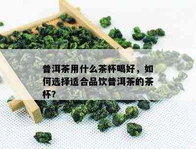 普洱茶用什么茶杯喝好，如何选择适合品饮普洱茶的茶杯？