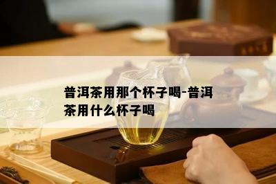 普洱茶用那个杯子喝-普洱茶用什么杯子喝