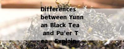 Differences between Yunnan Black Tea and Pu'er Tea - Explained