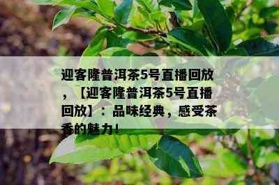 迎客隆普洱茶5号直播回放，【迎客隆普洱茶5号直播回放】：品味经典，感受茶香的魅力！