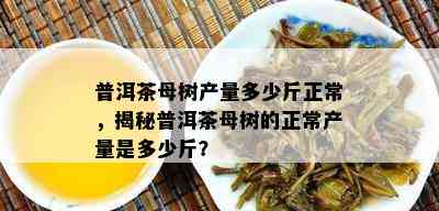 普洱茶母树产量多少斤正常，揭秘普洱茶母树的正常产量是多少斤？