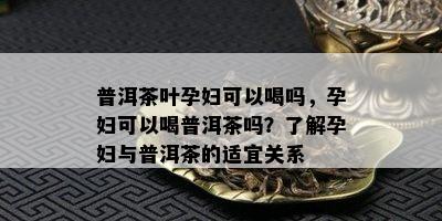 普洱茶叶孕妇可以喝吗，孕妇可以喝普洱茶吗？了解孕妇与普洱茶的适宜关系