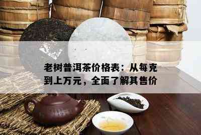 老树普洱茶价格表：从每克到上万元，全面了解其售价