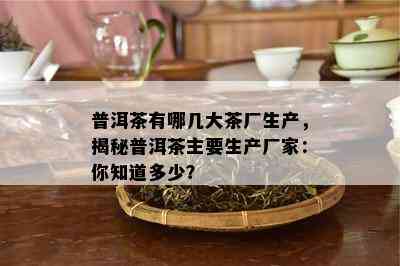 普洱茶有哪几大茶厂生产，揭秘普洱茶主要生产厂家：你知道多少？