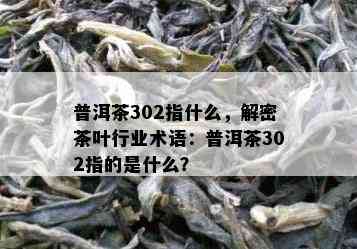 普洱茶302指什么，解密茶叶行业术语：普洱茶302指的是什么？