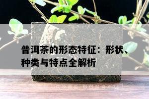 普洱茶的形态特征：形状、种类与特点全解析