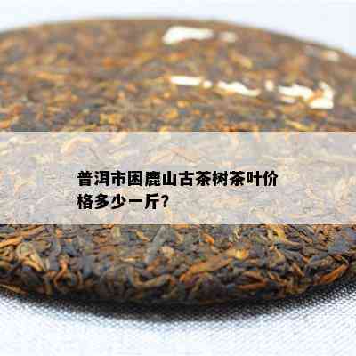 普洱市困鹿山古茶树茶叶价格多少一斤？