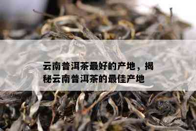 云南普洱茶更好的产地，揭秘云南普洱茶的更佳产地