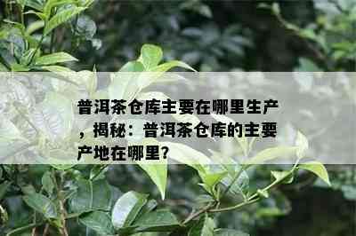 普洱茶仓库主要在哪里生产，揭秘：普洱茶仓库的主要产地在哪里？