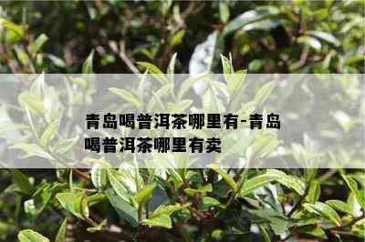 青岛喝普洱茶哪里有-青岛喝普洱茶哪里有卖