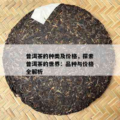 普洱茶的种类及价格，探索普洱茶的世界：品种与价格全解析