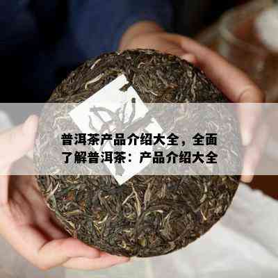 普洱茶产品介绍大全，全面了解普洱茶：产品介绍大全