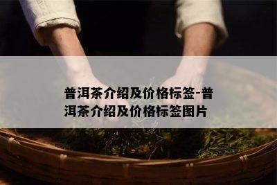 普洱茶介绍及价格标签-普洱茶介绍及价格标签图片