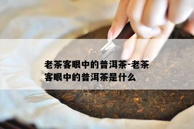 老茶客眼中的普洱茶-老茶客眼中的普洱茶是什么