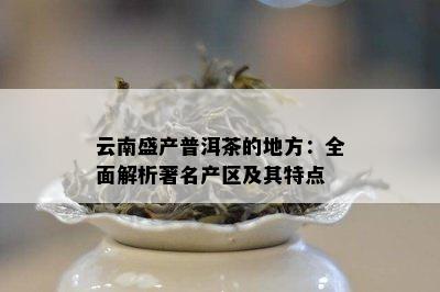 云南盛产普洱茶的地方：全面解析著名产区及其特点