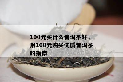 100元买什么普洱茶好，用100元购买优质普洱茶的指南