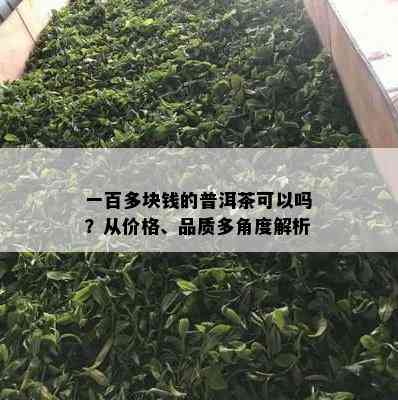 一百多块钱的普洱茶可以吗？从价格、品质多角度解析