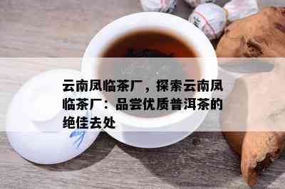 云南凤临茶厂，探索云南凤临茶厂：品尝优质普洱茶的绝佳去处