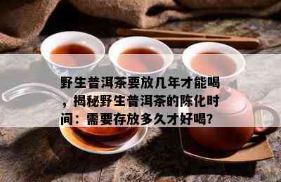 野生普洱茶要放几年才能喝，揭秘野生普洱茶的陈化时间：需要存放多久才好喝？