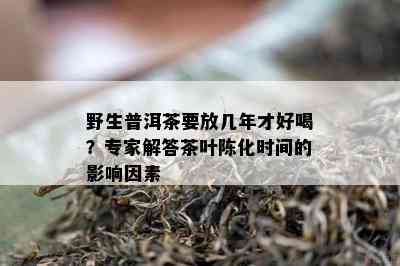 野生普洱茶要放几年才好喝？专家解答茶叶陈化时间的影响因素