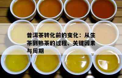 普洱茶转化前的变化：从生茶到熟茶的过程、关键因素与周期